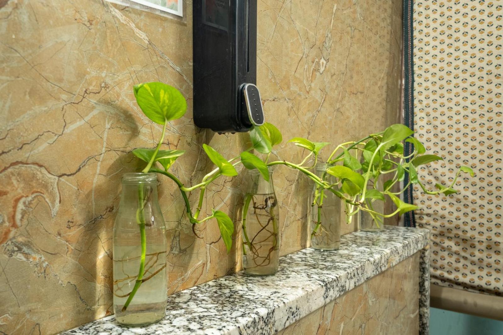 Anandmai - Sustainable Living Spaces Jaipur Luaran gambar